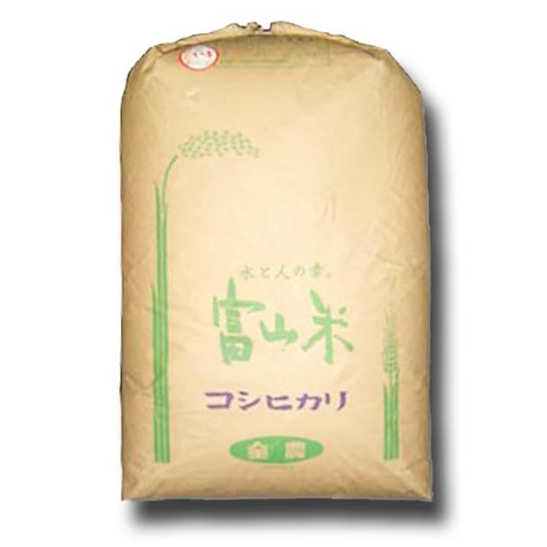  富山県 入善産 コシヒカリ 令和5年産 (玄米, 10kg)