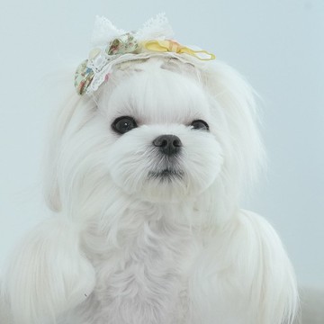 NO.116 塑料防滑夾