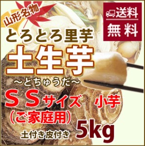 里芋 さといも サトイモ 山形 送料無料 土生芋 Ａ品 ＳＳサイズ 5ｋｇ 村山市 土生田 とちゅうだ 皮むきが面倒ですが一番美味しい芋です