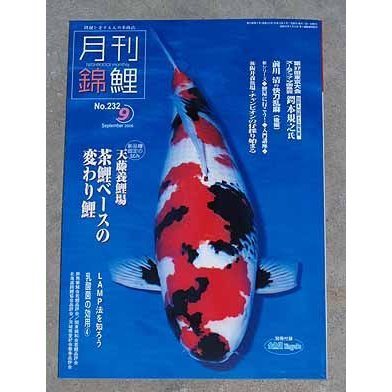 錦鯉の本◆錦鯉専門誌『月刊錦鯉』　■送料別■