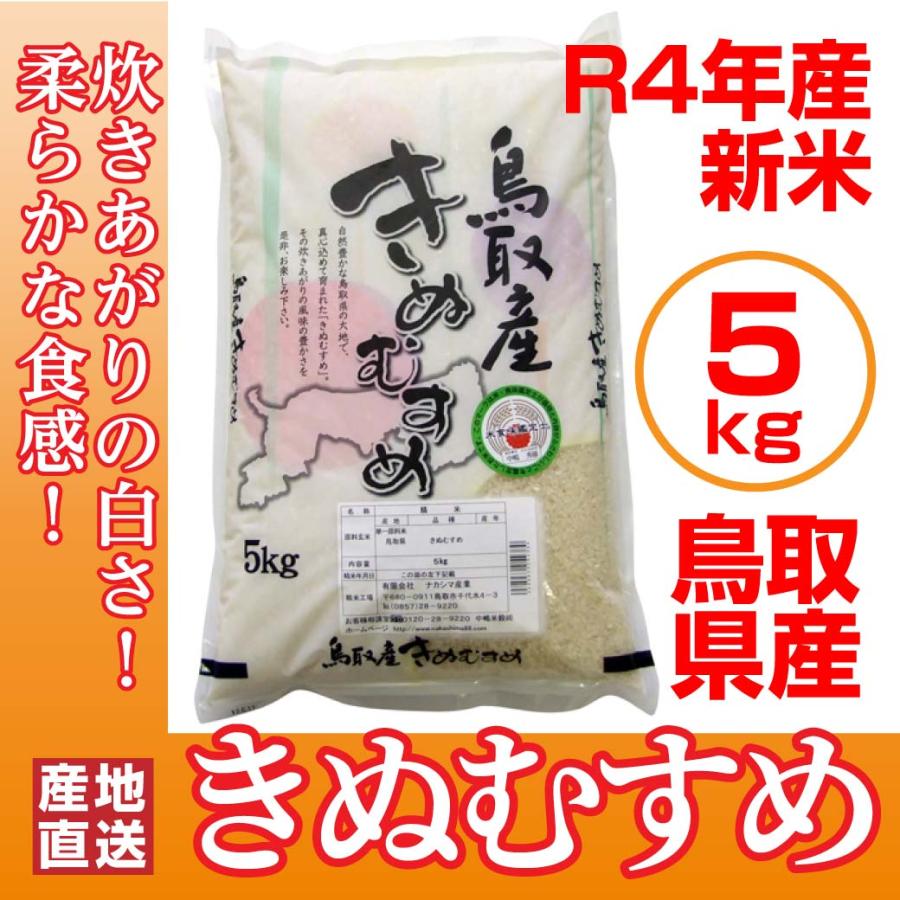 新米 令和5年産 きぬむすめ 鳥取県産 5kg 米 お米 白米 R5