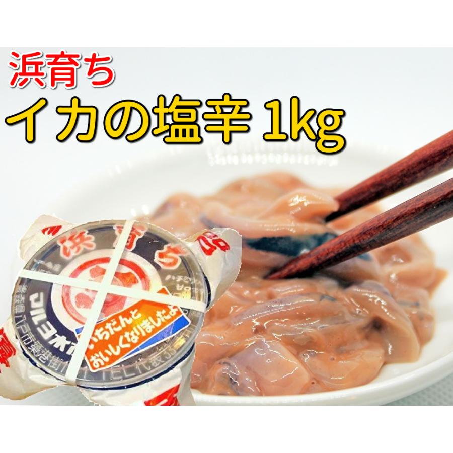 1kg　マルヨ　浜育ち　いか塩辛　LINEショッピング