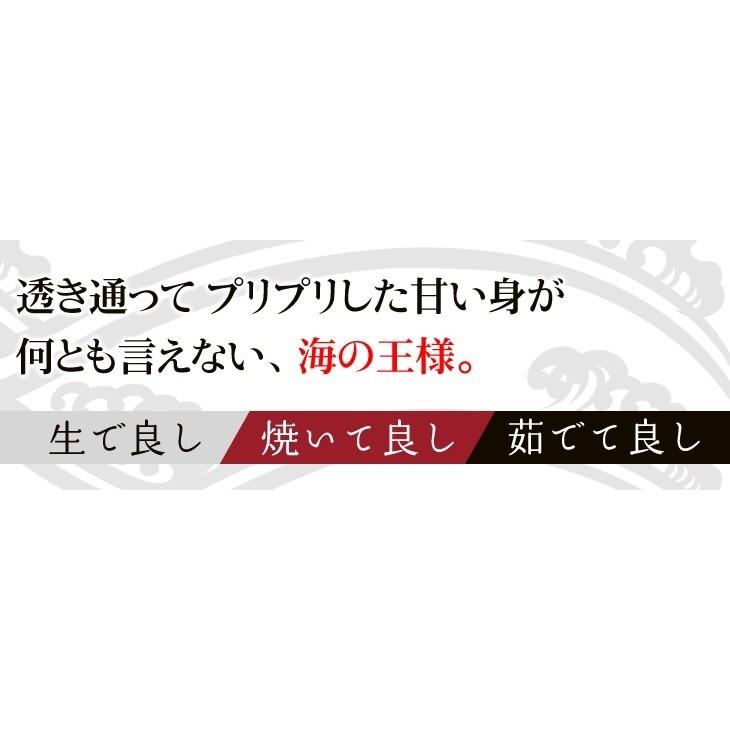 活きたまま発送　ほんのちょっと ワケあり、活伊勢海老 普通サイ ズ　3尾　750ｇ[活伊勢海老]