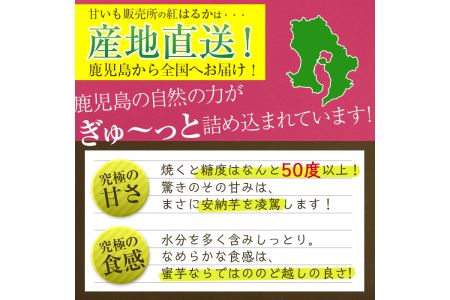 a174 畑の金貨・鹿児島県産紅はるか5kg(生芋)国産 鹿児島県産 サツマイモ さつまいも べにはるか 貯蔵 熟成 蜜芋