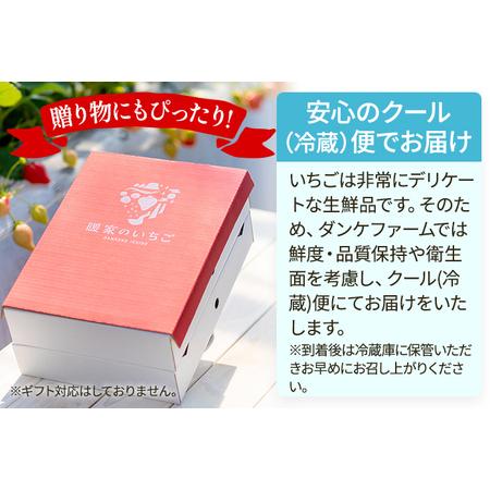 ふるさと納税 福岡県田川市産 あまおう 8or9入り×4パックイチゴ いちご 苺 贈答にも 福岡県田川市