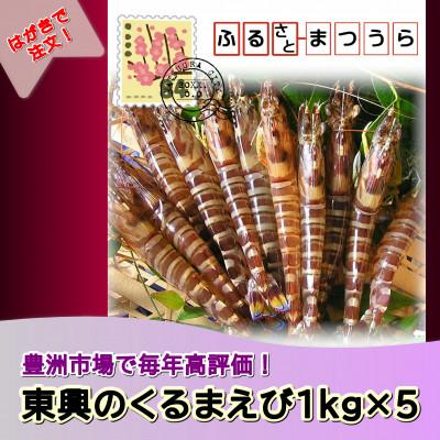 ふるさと納税 松浦市 お届けオーダーメイド!東興のくるまえび1kg×5