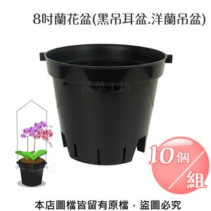 8吋蘭花盆(黑吊耳盆.洋蘭吊盆) 10個/組
