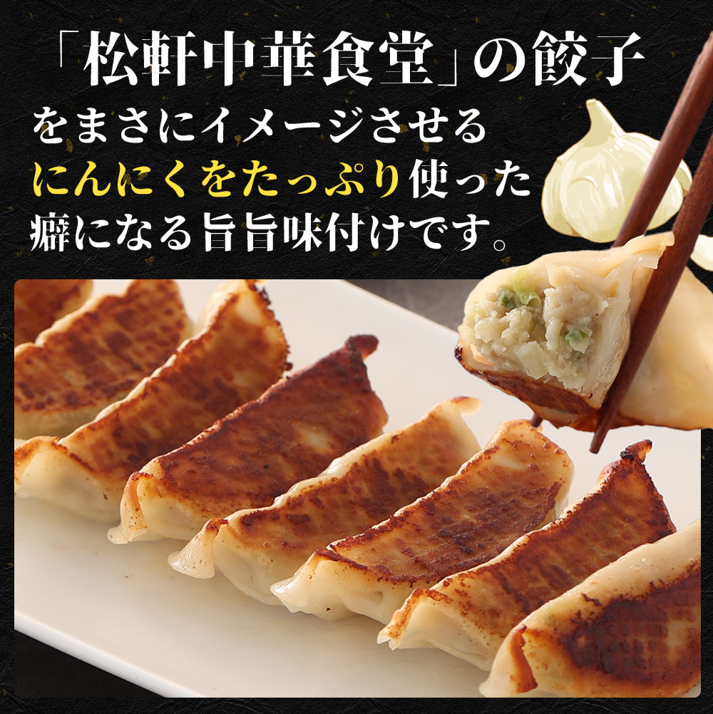 (メーカー希望小売価格2500円→2190円) 松軒中華食堂「餃子」5個×5パック 送料無料 レンジで完成 餃子 ぎょうざ ギョウザ 調理済 時短 保存食 お取り寄せ