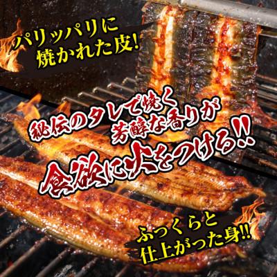 ふるさと納税 日南市 職人手焼きうなぎ　2匹