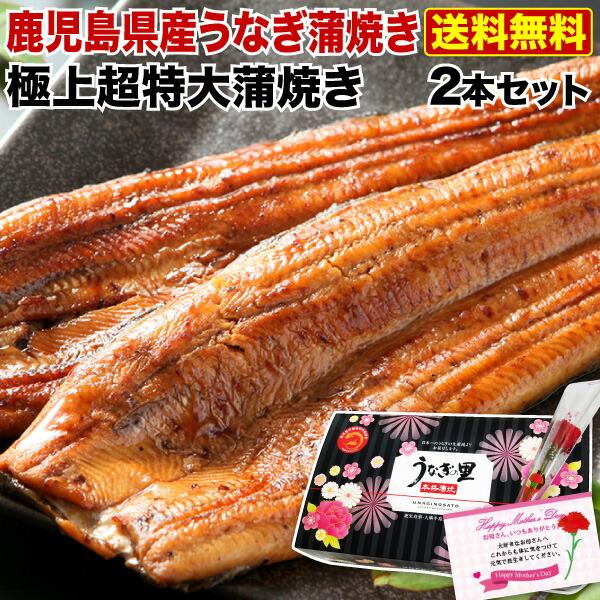 ポイント5倍 母の日 プレゼント グルメ うなぎ 鹿児島産 ブランド鰻 超特大蒲焼き2本 ギフトBOX お洒落な専用ギフトBOXでお届け クール