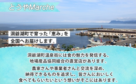 約2kg！活ほたて2年貝(15枚～22枚)≪配送：2024年2月より順次出荷≫海産物 ホタテ 帆立 ほたて 旨味 料理  刺身