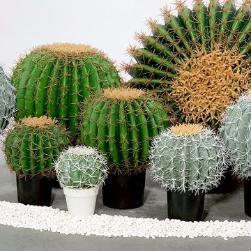 仙人球仿真植物盆栽造景室內裝飾塑料擺件商鋪櫥窗沙漠綠植造景