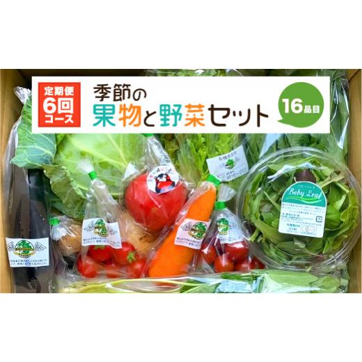 ふるさと納税 熊本県 八代市  季節の果物と野菜セット 16品目