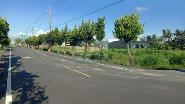 安定油車里農地｜台南市安定區港子尾段