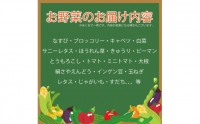 野菜 お楽しみ 5～7品目 詰め合わせ 阿波市 徳島県