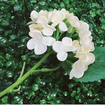 美極品【拍照好物】 背景神器50cm 六號立體草叢拍照背