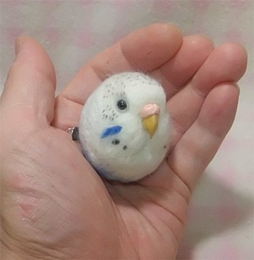 虎皮鸚鵡 漸層色・藍色★可選磁鐵/胸針款 羊毛小鳥 訂製 羊毛氈 鼻色可變更