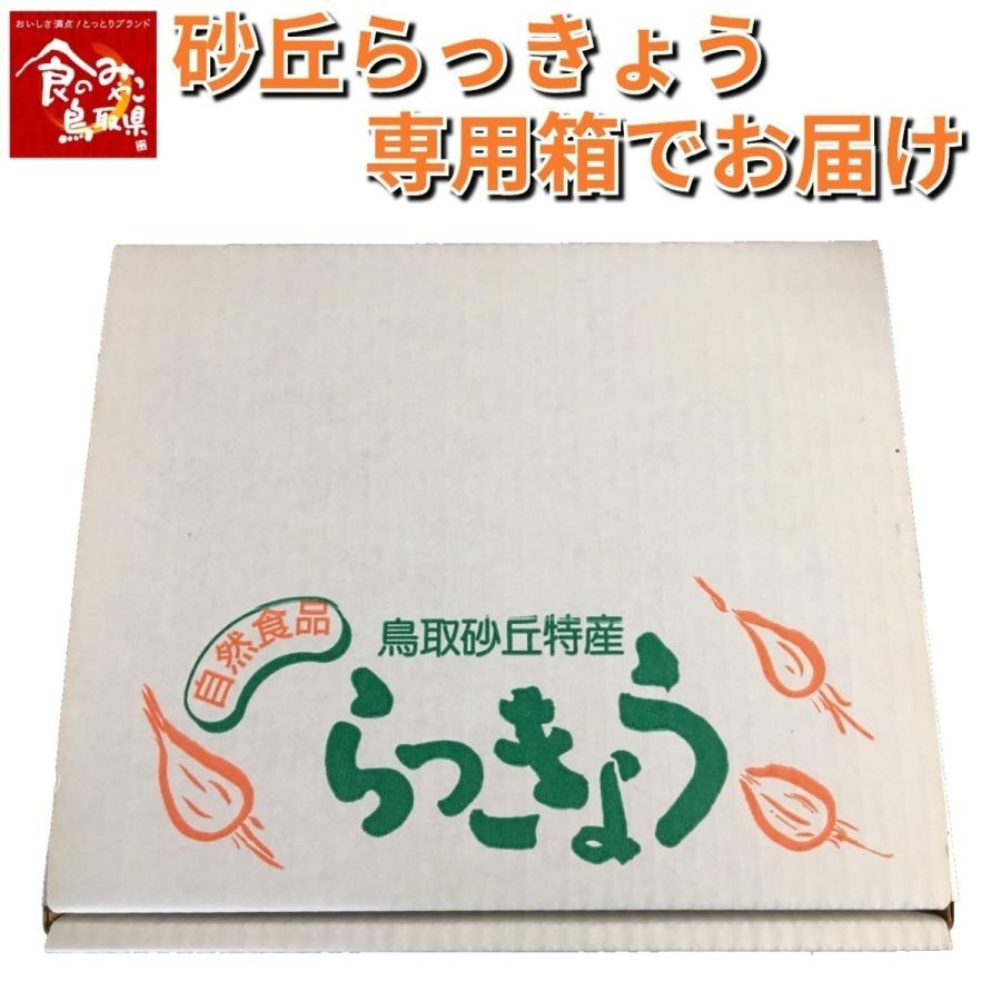 鳥取県産 黒らっきょう 70g （北海道、沖縄、発送不可） 浜田園 送料無料