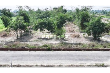 西港2.6分農地  等你來打造開心農場｜台南市西港區下宅子段