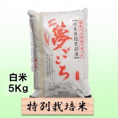 ふるさと納税 池田町 特別栽培米 5kg(夢ごこち)