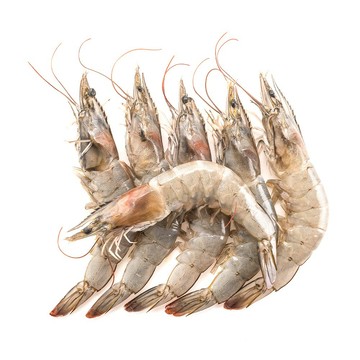 海肉管家 買2件送生食干貝台灣特選SGS金鑽白蝦(8盒_240g/盒)