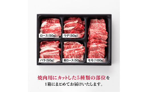 ※令和6年2月より順次発送※黒毛和牛5種盛り 焼肉セット（数量限定）300g  [F0652]