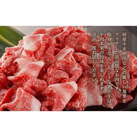 ふるさと納税 熊本県産 GI認証取得 くまもとあか牛 切り落とし 合計1kg 牛肉 モモ バラ ウデ クビ 熊本県水俣市