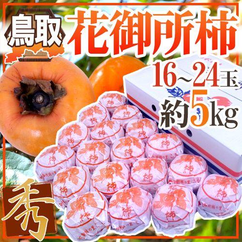 鳥取産 ”花御所柿” 秀品 16〜24玉 約5kg 送料無料