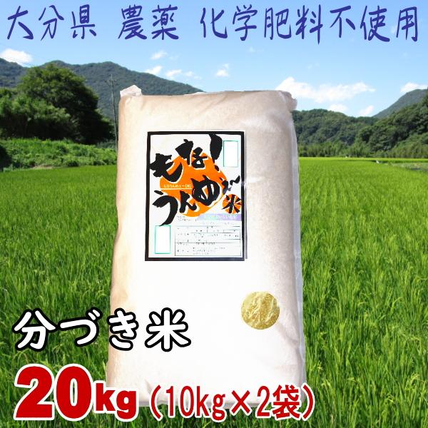 大分県　「農薬化学肥料不使用　分づき米（3分 5分 7分）20ｋｇ（10ｋｇ×2本）受注後に精米」　　送料無料（本州　四国　九州）　直送品