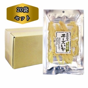 送料無料 おつまみ お徳用 チーズ いか 45g × 20袋 いか おつまみ チーズ チェダーチーズ 業務用 烏賊 つまみ 送料込