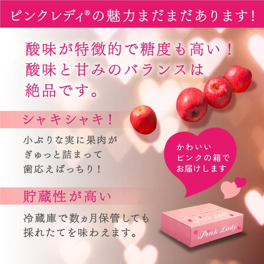 ピンクレディ 5kg 箱 訳あり 幻の林檎 減農薬 希少 りんご 長野 安曇野 信州 産地直送 酸っぱい 「ピンクレディ5キロ箱訳あり品」