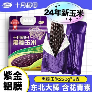 現💯貨 【稀有品種】十月稻田黑糯大棒220g*8支低脂甜糯好吃東北香粗糧