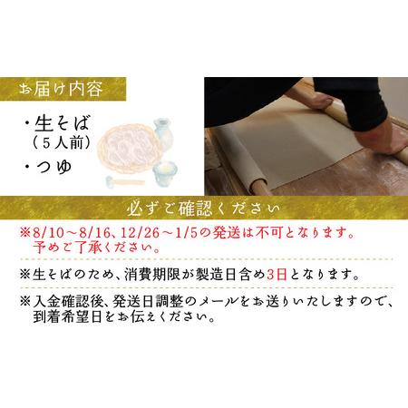 ふるさと納税 信州八ヶ岳産　生そば（５人前） 長野県岡谷市