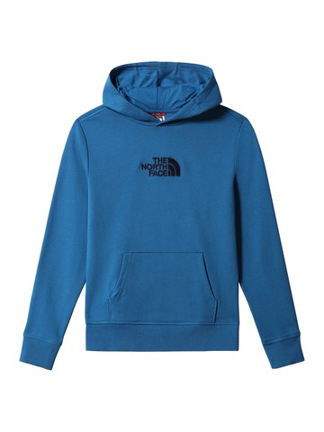 the north face hoodie
