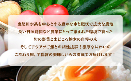 米・卵・新鮮野菜バラエティセット ※着日指定不可