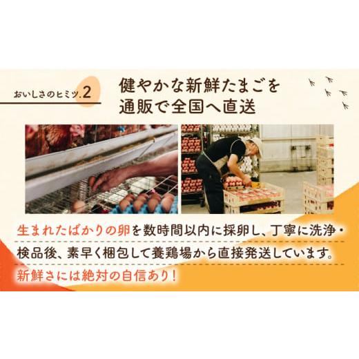 ふるさと納税 熊本県 山鹿市 白たまご M玉 40個（37個＋3個割れ保証） [ZCA0…