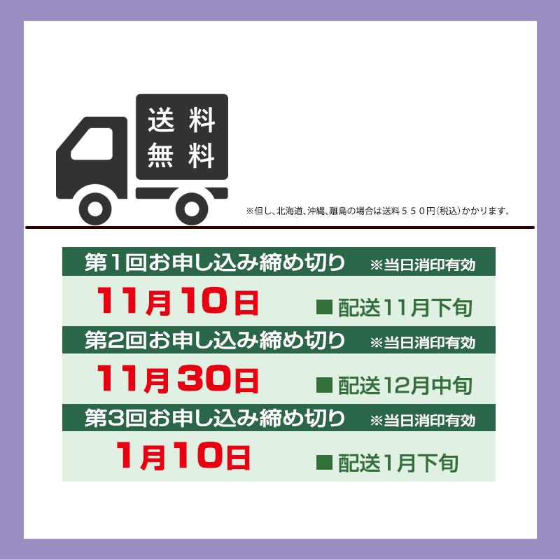 産地直送 あんぽ柿　1パック3玉前後5パック入