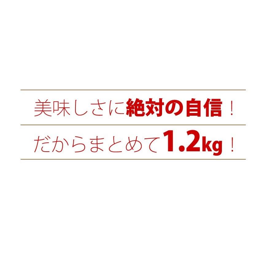 メガ盛り 骨付き牛カルビ＆豚カルビセット1.2kg   お祝い お歳暮 ギフト お取り寄せグルメ 焼肉 バーベキュー BBQ 業務用