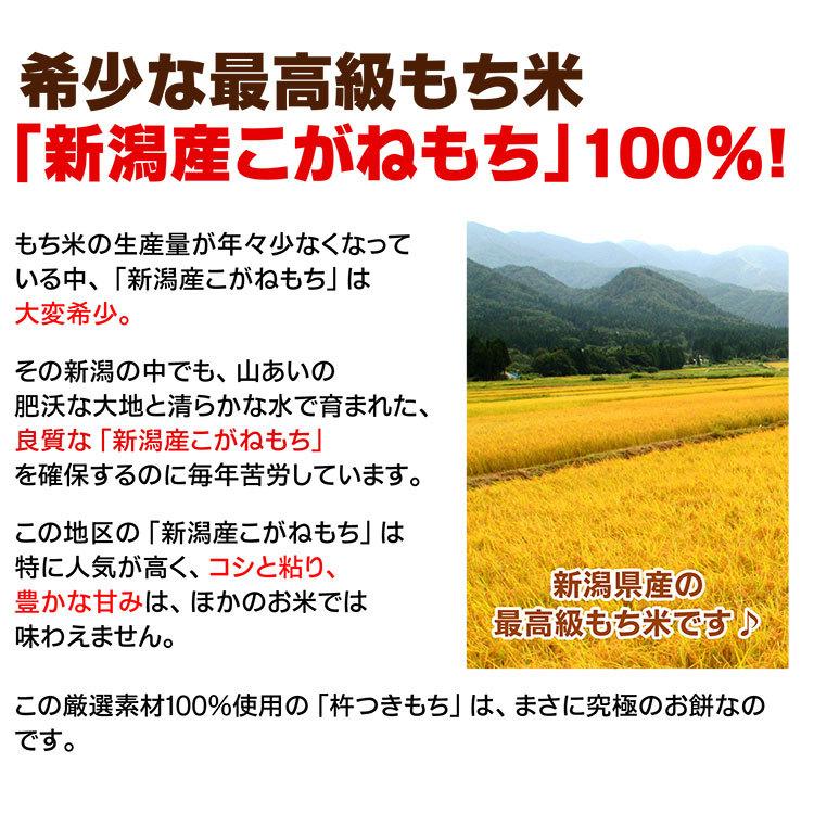 新潟の白もち５個セット（送料無料）