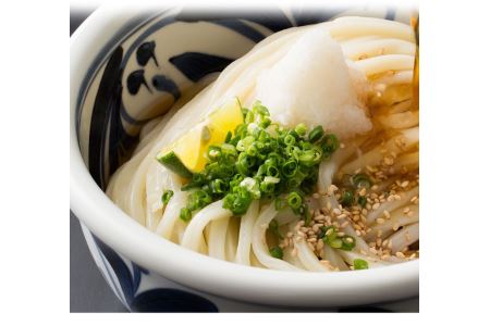 純生讃岐うどん（10人前、つゆ付）2セット