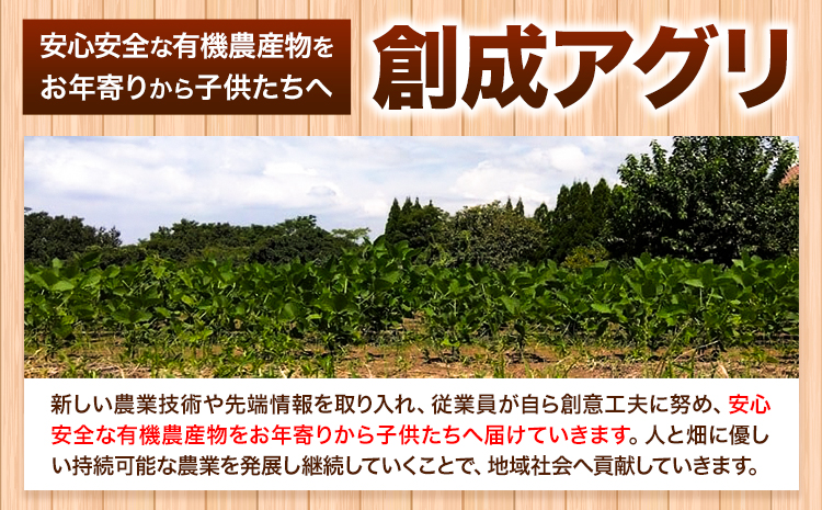 さつまいも 紅はるか 3.5kg 創成アグリ《10月末-1月末頃より順次出荷》熊本県 御船町 野菜 芋 さつま いも 焼き芋 有機JAS規格 送料無料---sm_agrimo_ec101_23_9000_3500g---