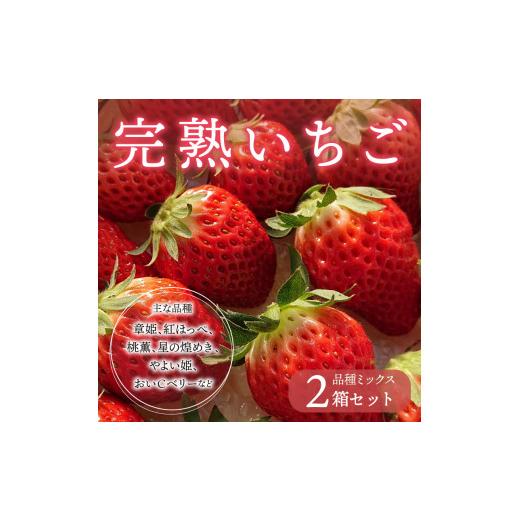 ふるさと納税 山梨県 甲府市 いちご (品種ミックス)