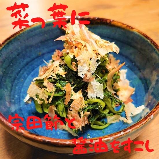 薄削り宗田節　40g ×10袋 土佐清水たけまさ商店 国産だし　鰹節