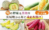 162茨城町産「旬の野菜果物」セット