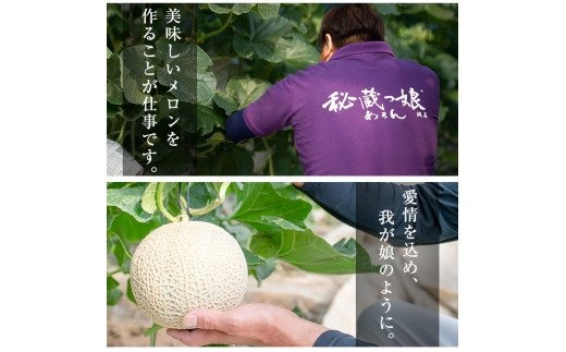 a5-130 ＜R5年11月下旬～12月末頃発送予定＞数量限定！食べるタイミングがわかるメロン「秘蔵っ娘」赤玉(赤肉)1個