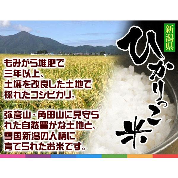 ((令和5年度))新潟ひかりっこ 新潟県産　特別栽培米　ひかりっこ米 5kg