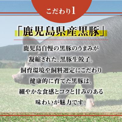 ふるさと納税 鹿児島市 鹿児島黒豚使用の黒豚バラエティ生餃子