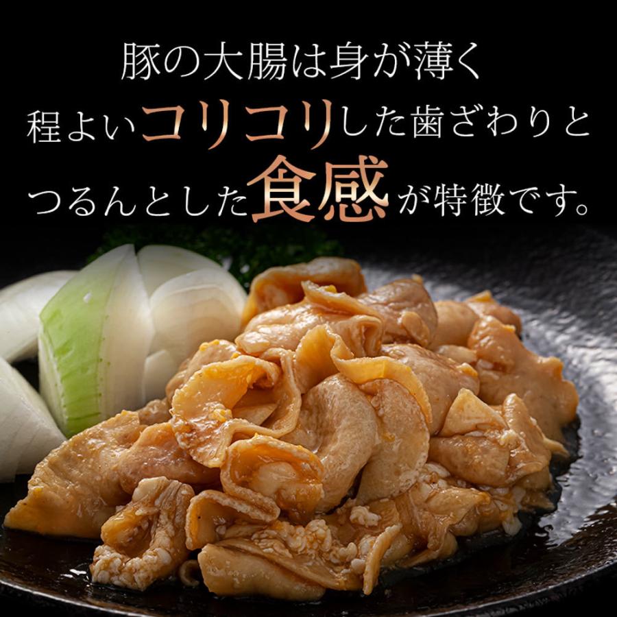 焼肉王国 やわらか豚テチャン焼