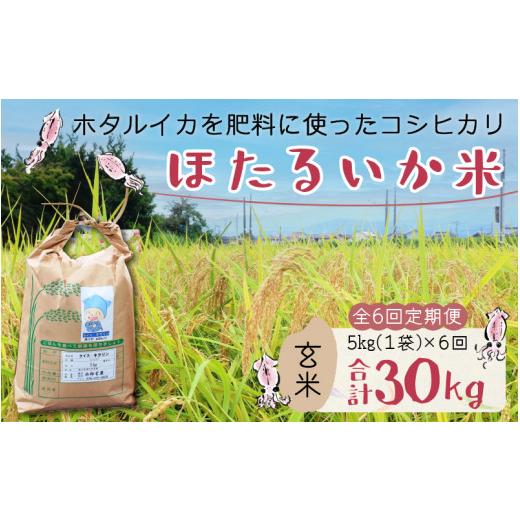 ふるさと納税 富山県 滑川市 ほたるいか米（玄米５kg）×6回 計30kg