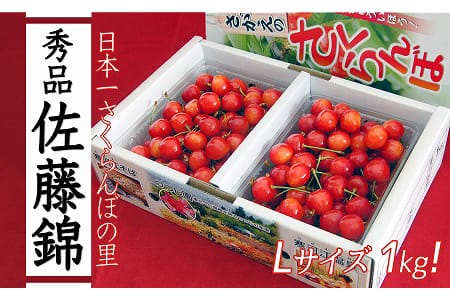 令和6年産 山形の さくらんぼ 「佐藤錦」 1kg（500g×2）秀品 L以上 山形産 2024年産　019-A-JA002